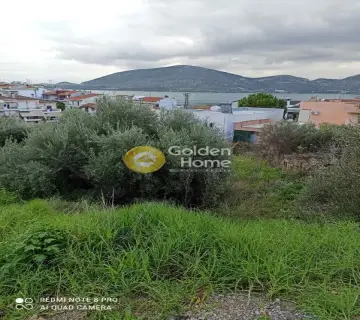 Residential 400m<sup>2</sup> for sale photo 6