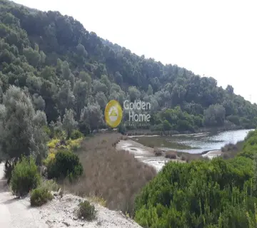 Αγροτεμάχιο 6606τ.μ. προς πώληση φωτογραφία 4
