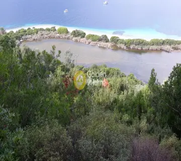 Αγροτεμάχιο 6606τ.μ. προς πώληση φωτογραφία 11