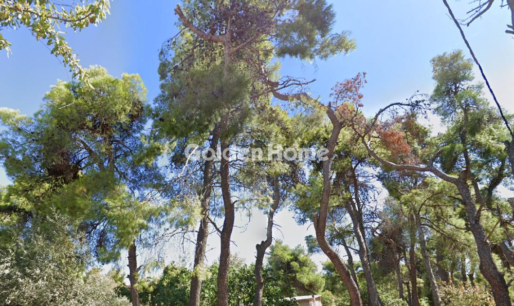 Plot 2000m<sup>2</sup> for sale display photo