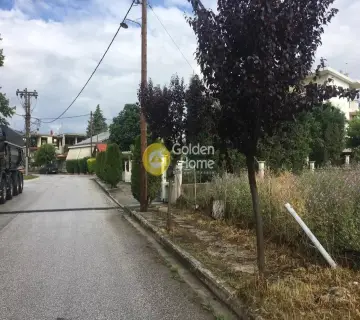 住宅 410m<sup>2</sup> for sale photo 3