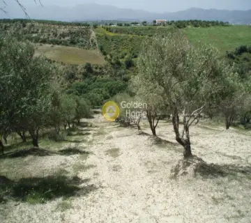 Parcel 4941m<sup>2</sup> for sale photo 9