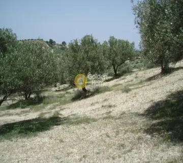Parcel 4941m<sup>2</sup> for sale photo 12