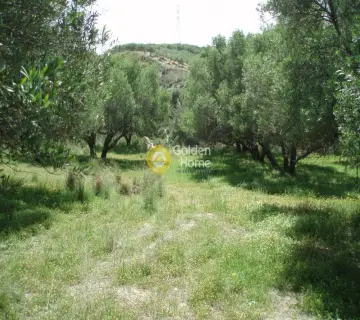 Parcel 4941m<sup>2</sup> for sale photo 20