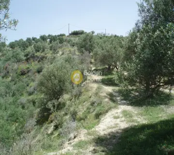 Parcel 4941m<sup>2</sup> for sale photo 21