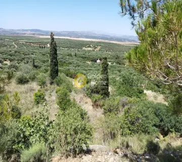 住宅 859m<sup>2</sup> for sale photo 2