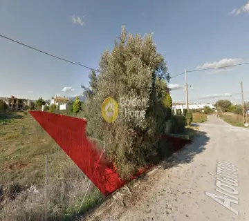 Residential 800m<sup>2</sup> for sale photo 1