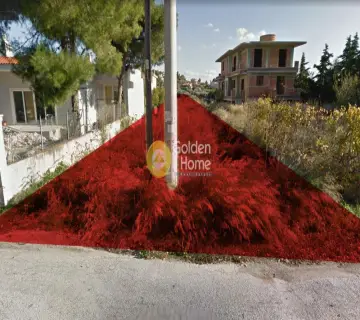 Residential 800m<sup>2</sup> for sale photo 2