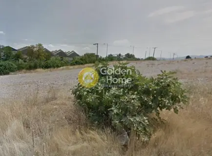 Professional Plot 50000m<sup>2</sup> for sale photo 3