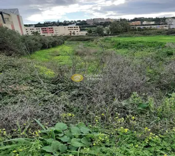 Professional Plot 1190m<sup>2</sup> for sale photo 2