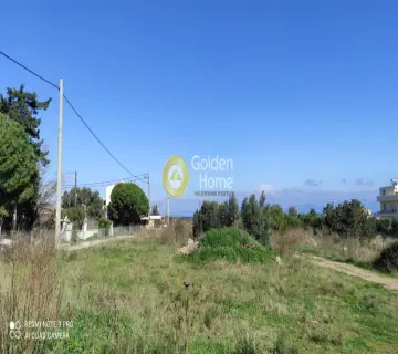 Professional Plot 2000m<sup>2</sup> for sale photo 2458286