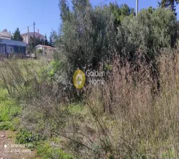Professional Plot 2000m<sup>2</sup> for sale photo 2458291