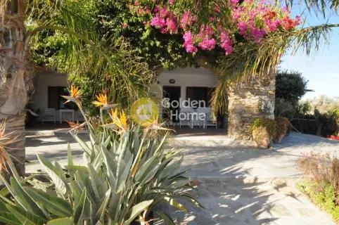 Apartment 60m<sup>2</sup> for rent photo 3