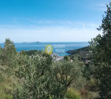 Οικιστικό 9000τ.μ. προς πώληση φωτογραφία 1