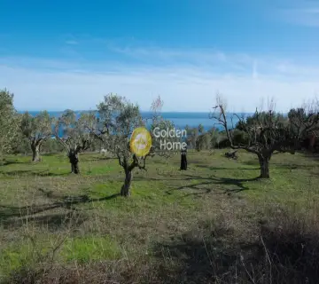 Οικιστικό 9000τ.μ. προς πώληση φωτογραφία 5