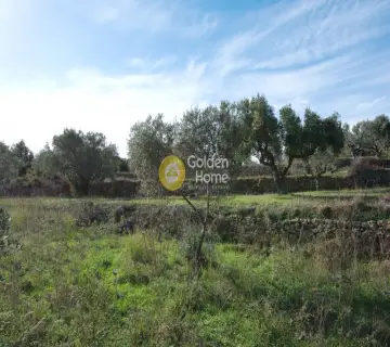 Οικιστικό 9000τ.μ. προς πώληση φωτογραφία 6