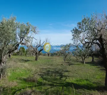 Οικιστικό 9000τ.μ. προς πώληση φωτογραφία 3