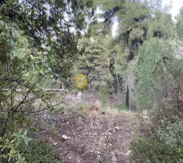 Residential 1715m<sup>2</sup> for sale photo 2427296