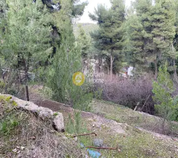 Residential 1715m<sup>2</sup> for sale photo 2427299