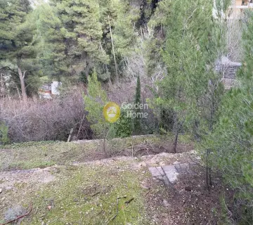 Residential 1715m<sup>2</sup> for sale photo 2427300