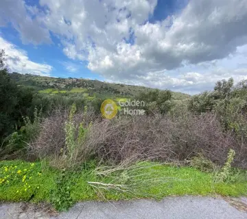 Residential 2046m<sup>2</sup> for sale photo 2434819