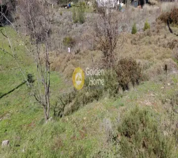 Οικιστικό 243τ.μ. προς πώληση φωτογραφία 2