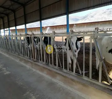 Golden Home Property Image