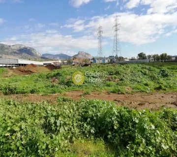 Golden Home Property Image