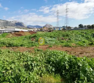 Golden Home Property Image