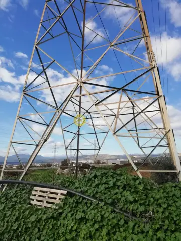 Parcel 113075m<sup>2</sup> for sale photo 12