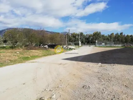 Parcel 113075m<sup>2</sup> for sale photo 93