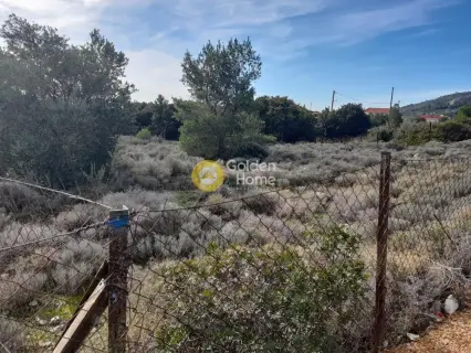 Residential 305m<sup>2</sup> for sale photo 1