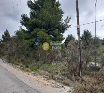 Επαγγελ. Οικόπεδο 900τ.μ. προς πώληση φωτογραφία 2493191