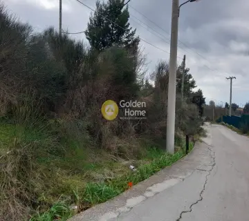 Επαγγελ. Οικόπεδο 900τ.μ. προς πώληση φωτογραφία 2493193