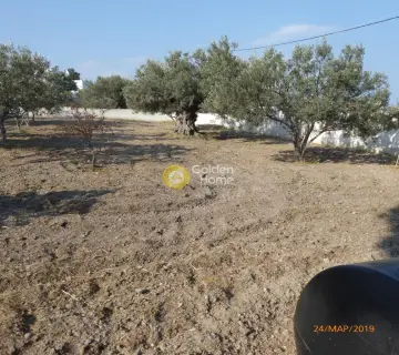 Οικιστικό 397τ.μ. προς πώληση φωτογραφία 4