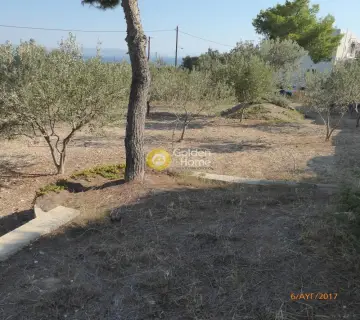 Οικιστικό 397τ.μ. προς πώληση φωτογραφία 5