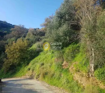 Residential 4100m<sup>2</sup> for sale photo 5
