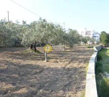 Residential 764m<sup>2</sup> for sale photo 6