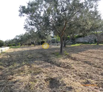 Residential 764m<sup>2</sup> for sale photo 7