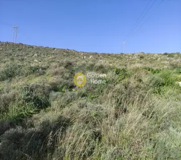 Residential 4000m<sup>2</sup> for sale photo 3