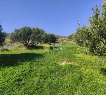 Residential 4000m<sup>2</sup> for sale photo 4