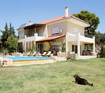 Golden Home Property Image