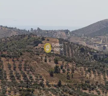 Μονοκατοικία 380τ.μ. προς πώληση φωτογραφία 71