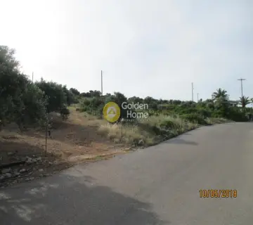 Professional Plot 25000m<sup>2</sup> for sale photo 2451233