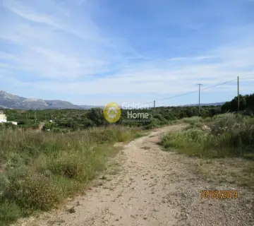 Professional Plot 25000m<sup>2</sup> for sale photo 2451233