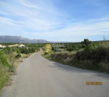Professional Plot 25000m<sup>2</sup> for sale photo 2451233