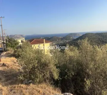 Οικιστικό 1236τ.μ. προς πώληση φωτογραφία 9