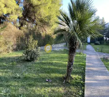 Residential 3835m<sup>2</sup> for sale photo 5