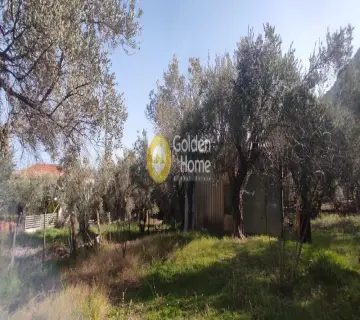 Parcel 1148m<sup>2</sup> for sale photo 2456602