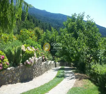 Golden Home Property Image